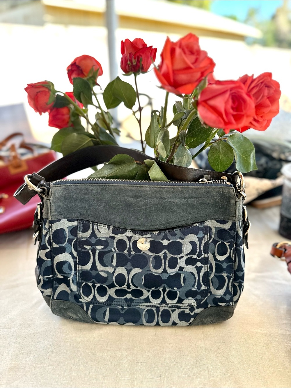 Chelsey optic signature coach hobo in blue